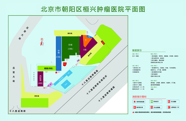 啊啊啊啊啊啊好疼网站北京市朝阳区桓兴肿瘤医院平面图